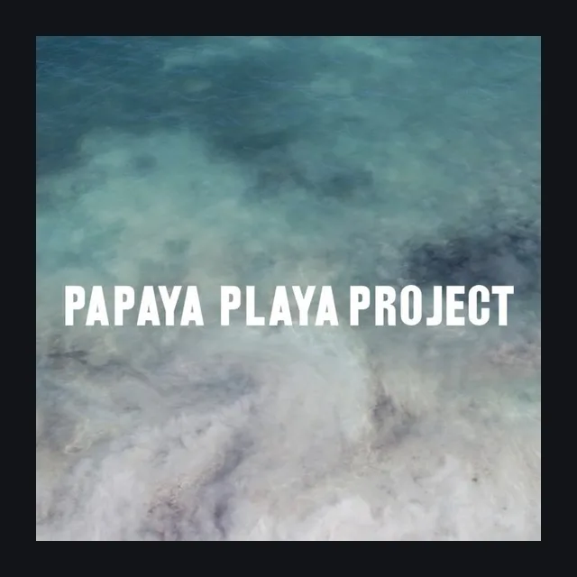 Logo de Papaya Playa Project